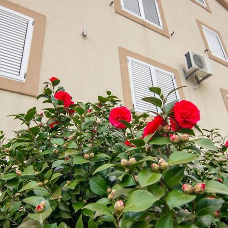 Apartments Savic Херцег-Новий Екстер'єр фото